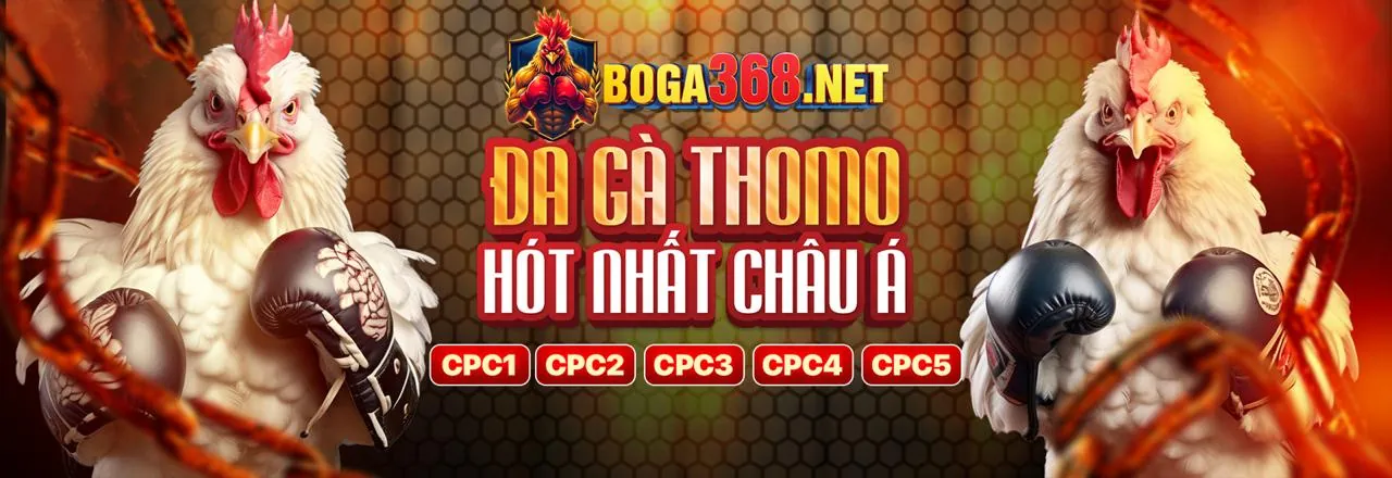 Đá gà trực tuyến sôi động tại bem88 nhà cái